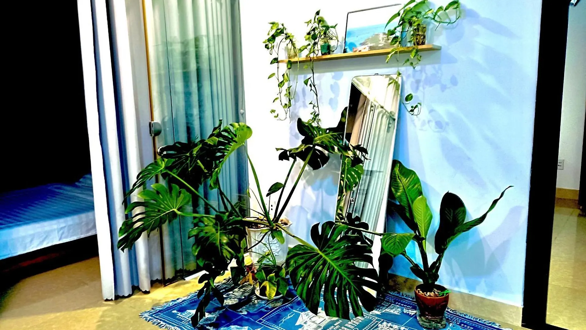 Daire Homestay View Bien Vung Tau